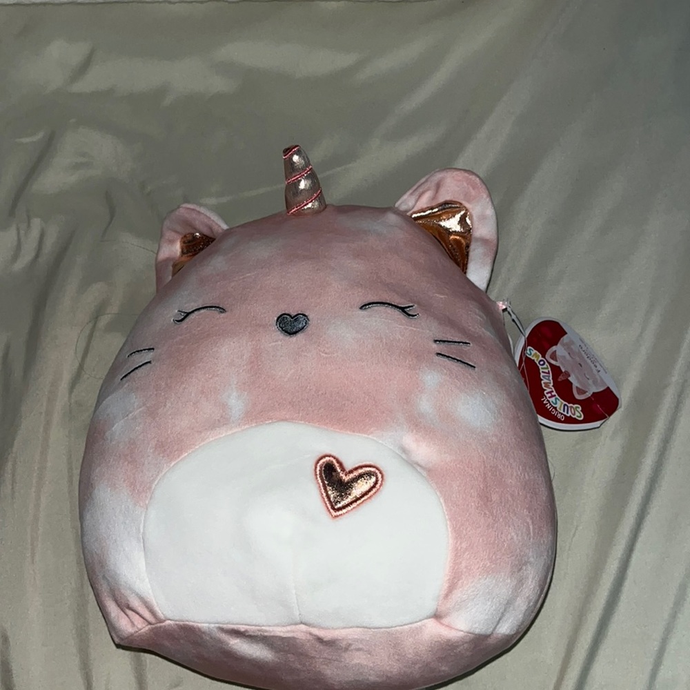 Cat squishmallow